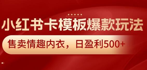 小红书卡模板爆款玩法，售卖情趣内衣，日盈利500+-墨韵博客