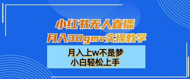 小红书无人直播月入30gmv实操教学，月入上w不是梦，小白轻松上手-墨韵博客
