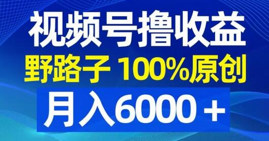 视频号野路子撸收益，100%原创，条条爆款，月入6000＋-墨韵博客
