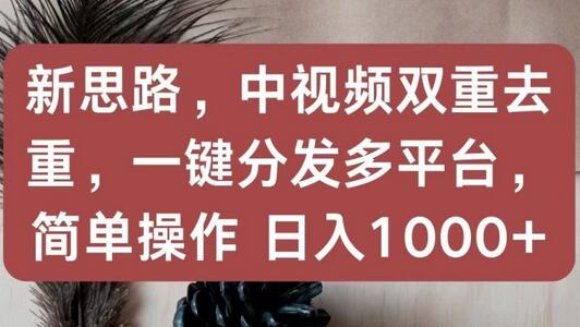 新思路，中视频双重去重，一键分发多平台，简单操作，日入1000+-墨韵博客