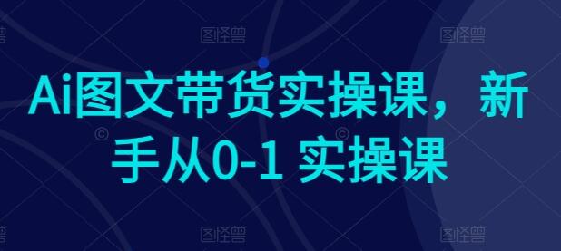 Ai图文带货实操课，新手从0-1 实操课-墨韵博客