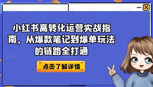 小红书高转化运营实战指南，从爆款笔记到爆单玩法的链路全打通-墨韵博客