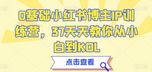 0基础小红书博主IP训练营，37天天教你从小白到KOL-墨韵博客