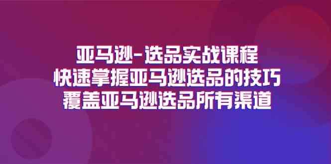 亚马逊选品实战课程，快速掌握亚马逊选品的技巧，覆盖亚马逊选品所有渠道-墨韵博客
