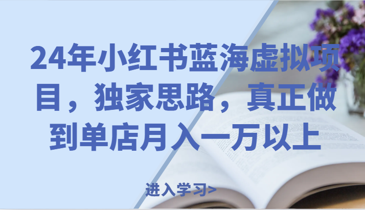 24年小红书蓝海虚拟项目，独家思路，真正做到单店月入一万以上。-墨韵博客