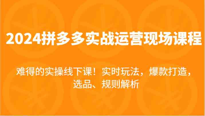 2024拼多多实战运营现场课，实时玩法，爆款打造，选品、规则解析，难得的实操线下课！-墨韵博客