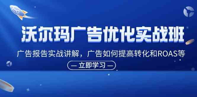 沃尔玛广告优化实战班，广告报告实战讲解，广告如何提高转化和ROAS等-墨韵博客