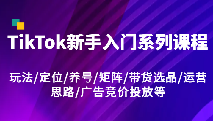 TikTok新手入门系列课程，玩法/定位/养号/矩阵/带货选品/运营思路/广告竞价投放等-墨韵博客