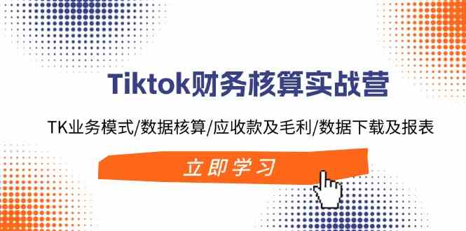 Tiktok财务核算实战营：TK业务模式/数据核算/应收款及毛利/数据下载及报表-墨韵博客