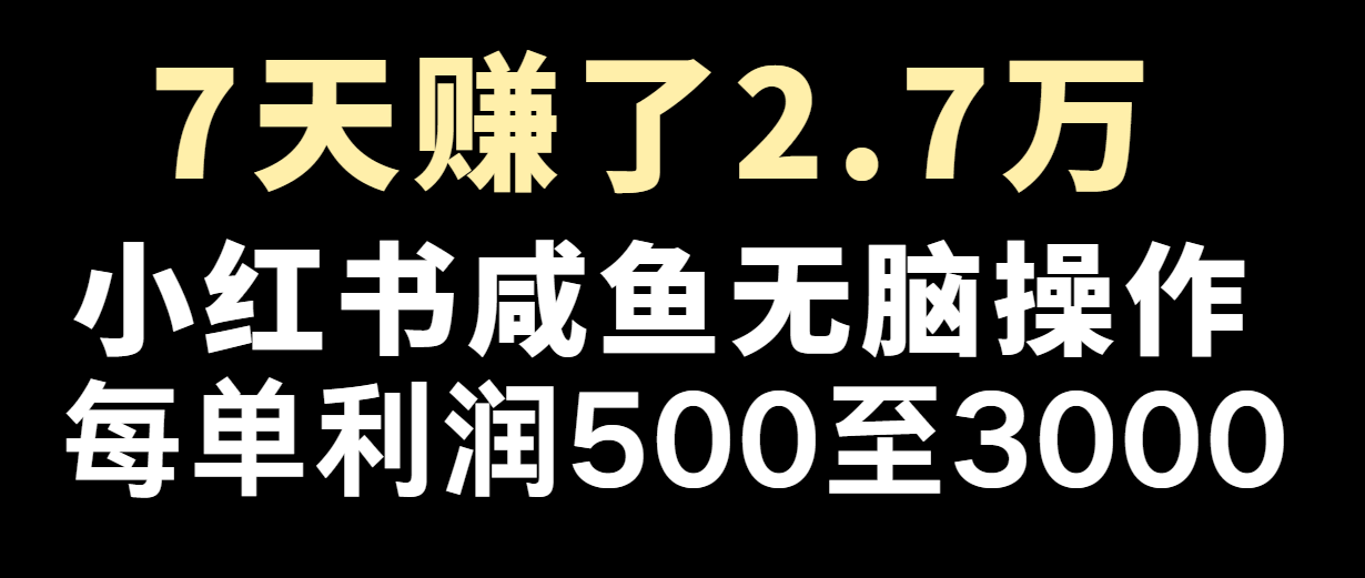 七天赚了2.7万！每单利润最少500+，轻松月入5万+小白有手就行-墨韵博客