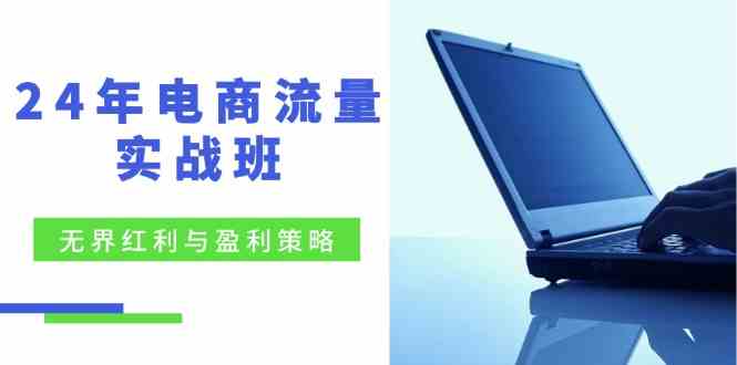 电商流量实战班：无界红利与盈利策略，终极提升/关键词优化/精准人群拓展/创新玩法-墨韵博客