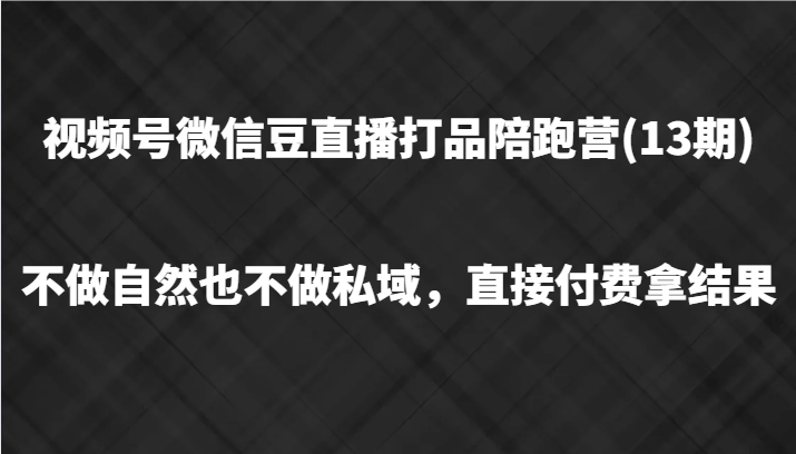 视频号微信豆直播打品陪跑(13期)，不做不自然流不做私域，直接付费拿结果-墨韵博客