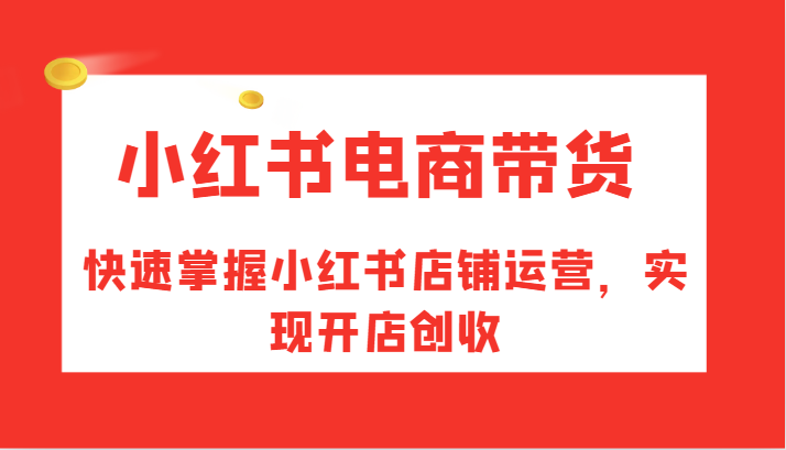 小红书电商带货，快速掌握小红书店铺运营，实现开店创收-墨韵博客