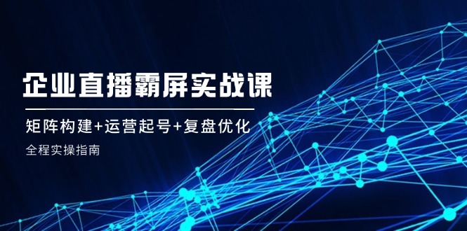 企业直播霸屏实战课：矩阵构建+运营起号+复盘优化，全程实操指南-墨韵博客
