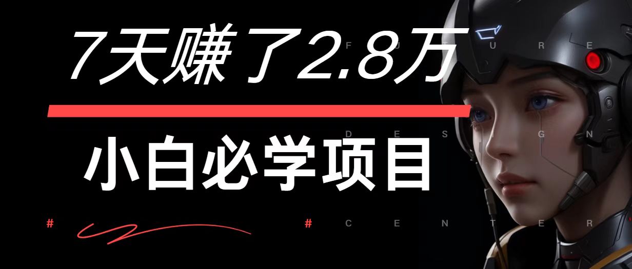 7天赚了2.8万！每单利润最少500+，轻松月入7万+小白有手就行-墨韵博客