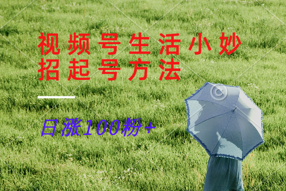 视频号生活小妙招分享赛道， 起号涨粉新方法，日涨100粉-墨韵博客