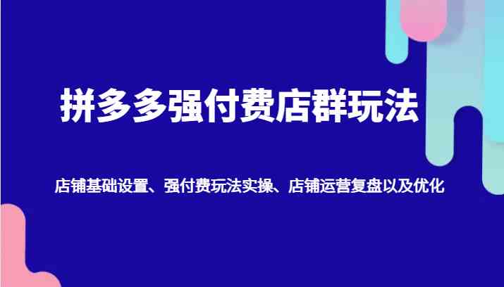 拼多多强付费店群玩法：店铺基础设置、强付费玩法实操、店铺运营复盘以及优化-墨韵博客