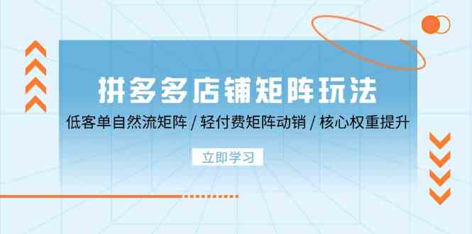 拼多多店铺矩阵玩法：低客单自然流矩阵 / 轻付费矩阵 动销 / 核心权重提升-墨韵博客