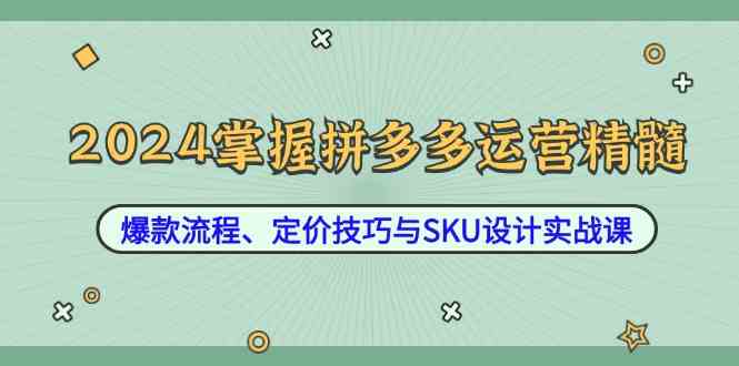 2024掌握拼多多运营精髓：爆款流程、定价技巧与SKU设计实战课-墨韵博客