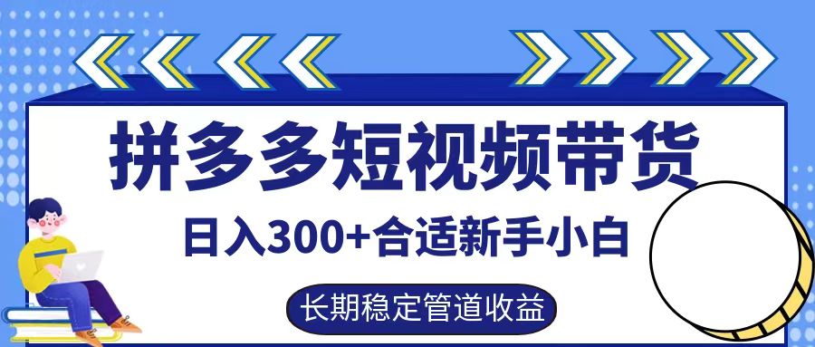拼多多短视频带货日入300+，实操账户展示看就能学会-墨韵博客