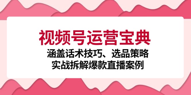 视频号运营宝典：涵盖话术技巧、选品策略、实战拆解爆款直播案例-墨韵博客