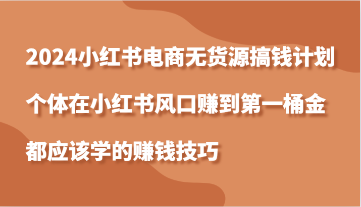 2024小红书电商无货源搞钱计划，个体在小红书风口赚到第一桶金应该学的赚钱技巧-墨韵博客