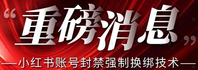 小红书账号封禁强制换绑技术可日赚300-墨韵博客