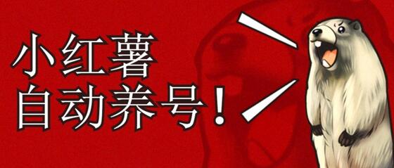 小红书养号秘籍，如何自动涨粉清晰系统标签打造高权重账号-墨韵博客