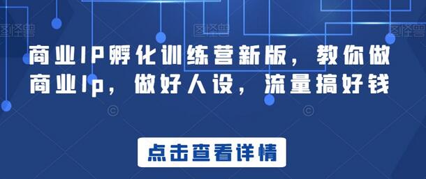商业IP孵化训练营新版，教你做商业Ip，做好人设，流量搞好钱-墨韵博客