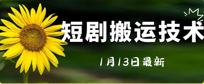 最新短剧搬运技术，电脑手机都可以操作，不限制机型-墨韵博客