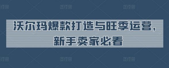沃尔玛爆款打造与旺季运营，新手卖家必看-墨韵博客