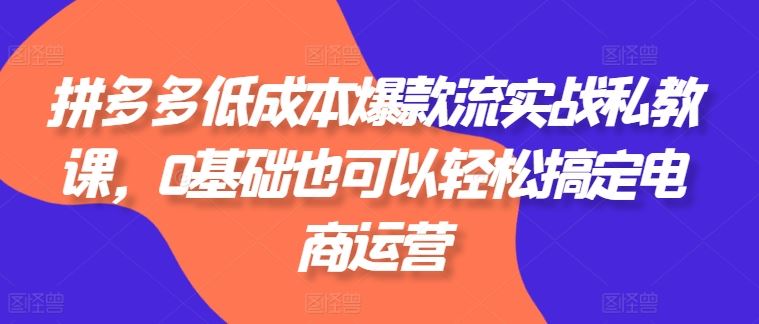 拼多多低成本爆款流实战私教课，0基础也可以轻松搞定电商运营-墨韵博客