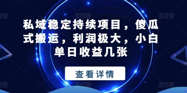 私域稳定持续项目，傻瓜式搬运，利润极大，小白单日收益几张【揭秘】-墨韵博客