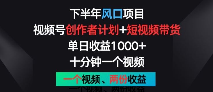 下半年风口项目，视频号创作者计划+视频带货，一个视频两份收益，十分钟一个视频【揭秘】-墨韵博客