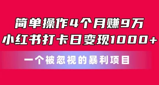 简单操作4个月赚9w，小红书打卡日变现1k，一个被忽视的暴力项目【揭秘】-墨韵博客