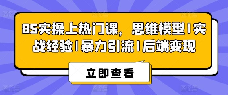 8S实操上热门课，思维模型|实战经验|暴力引流|后端变现-墨韵博客