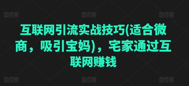 互联网引流实战技巧(适合微商，吸引宝妈)，宅家通过互联网赚钱-墨韵博客