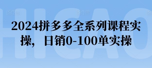 2024拼多多全系列课程实操，日销0-100单实操【必看】-墨韵博客