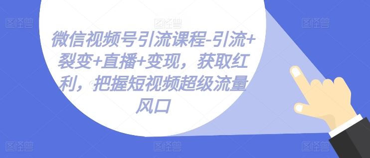 微信视频号引流课程-引流+裂变+直播+变现，获取红利，把握短视频超级流量风口-墨韵博客