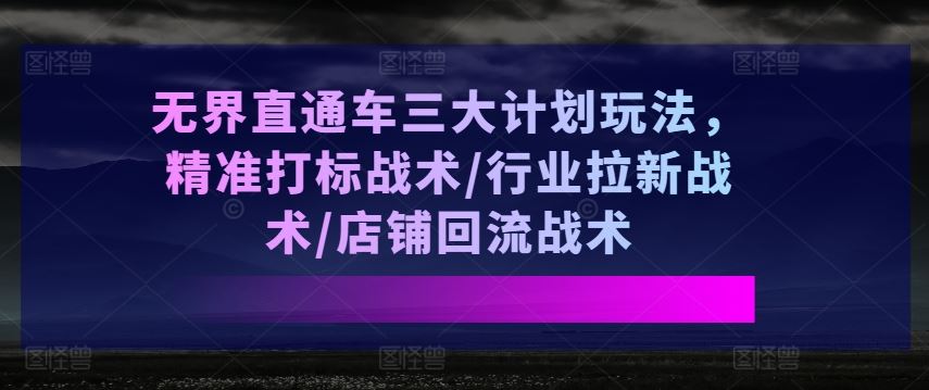 无界直通车三大计划玩法，精准打标战术/行业拉新战术/店铺回流战术-墨韵博客