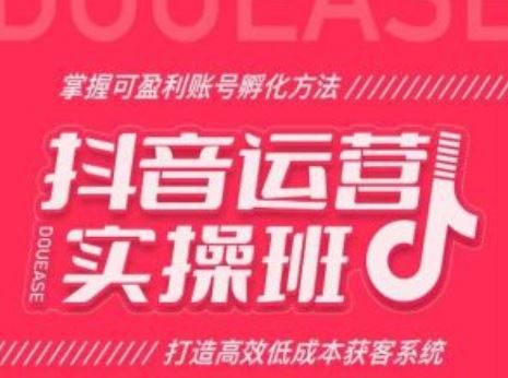 抖音运营实操班，掌握可盈利账号孵化方法，打造高效低成本获客系统-墨韵博客