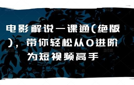 电影解说一课通(绝版)，带你轻松从0进阶为短视频高手-墨韵博客