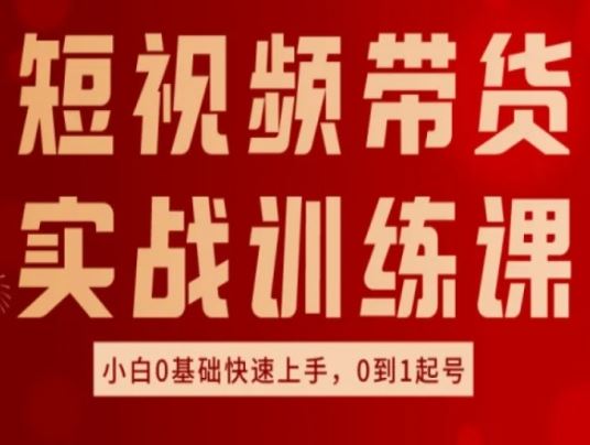 短视频带货实战训练课，好物分享实操，小白0基础快速上手，0到1起号-墨韵博客