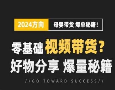 短视频母婴赛道实操流量训练营，零基础视频带货，好物分享，爆量秘籍-墨韵博客