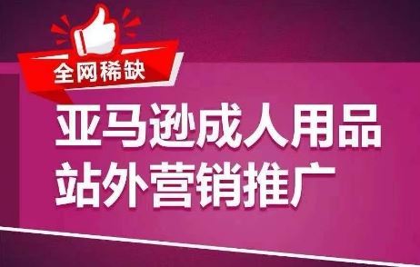 全网稀缺！亚马逊成人用品站外营销推广，​教你引爆站外流量，开启爆单模式-墨韵博客