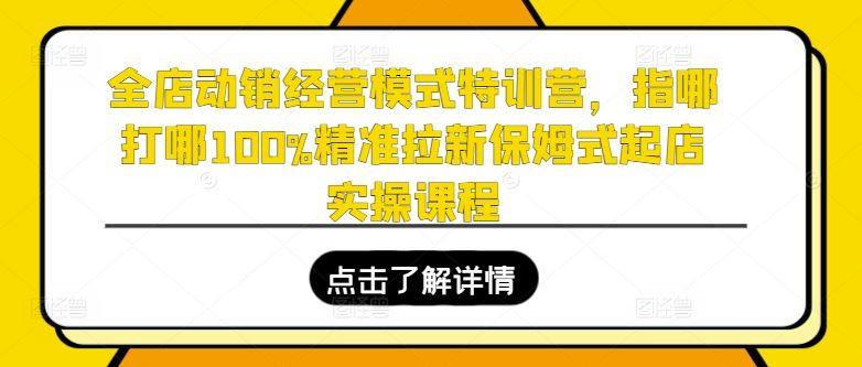 全店动销经营模式特训营，指哪打哪100%精准拉新保姆式起店实操课程-墨韵博客