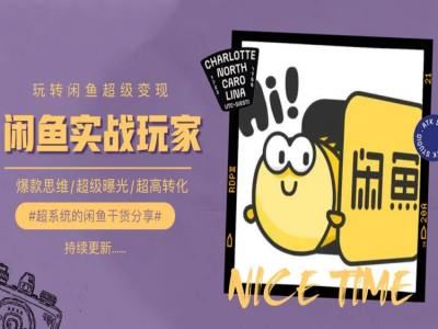 手把手教你0到1系统玩转闲鱼变现，爆款思维/超级曝光/超高转化-墨韵博客