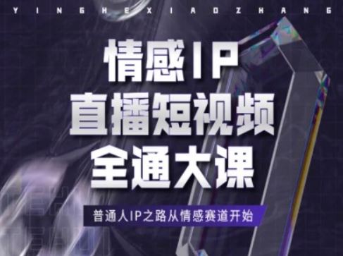 情感IP直播短视频全通大课，普通人IP之路从情感赛道开始-墨韵博客