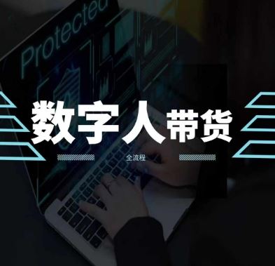 2024火爆AI数字人短视频带货教程，谁说好物流量不好？因为你不懂方法-墨韵博客