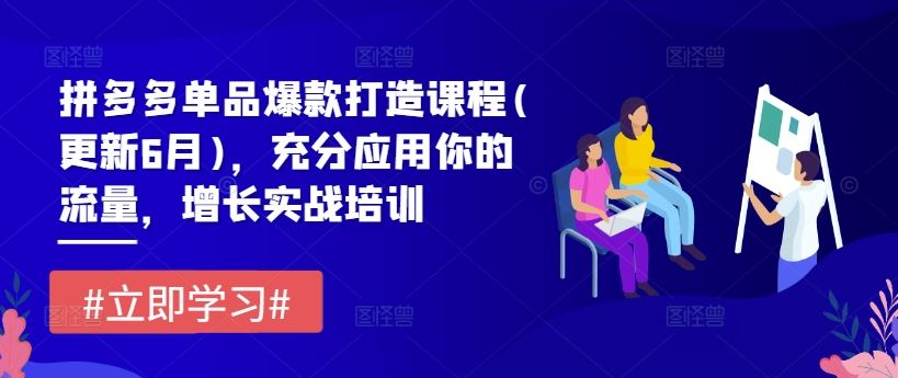 拼多多单品爆款打造课程(更新6月)，充分应用你的流量，增长实战培训-墨韵博客
